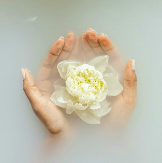 Terapias de Transformación